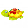 Lay Eggs Tortoise Educational Musical Toys